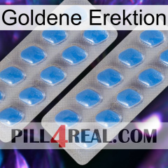 Golden Erection 23
